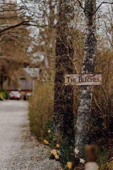 The Beeches Studio, Highlands Of Scotland Newtonmore Exterior foto